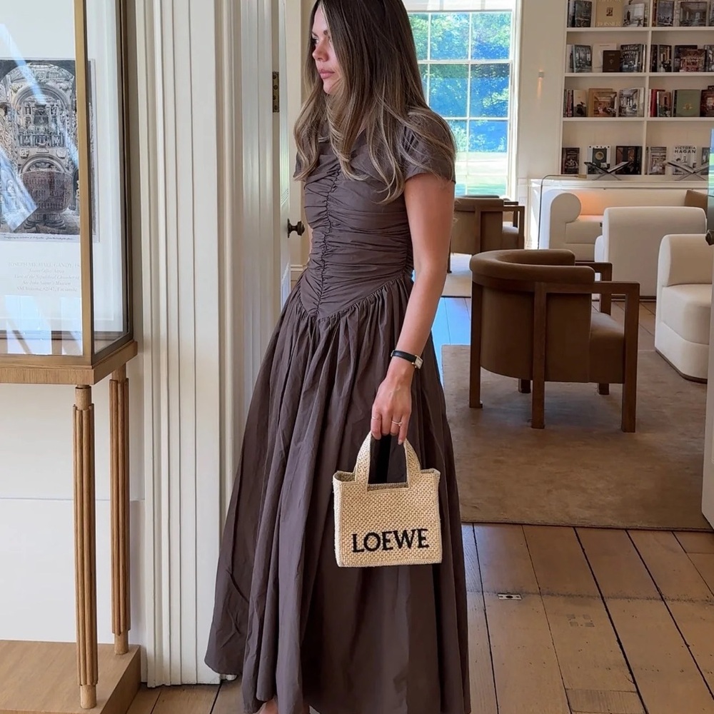 NWT L $350 Elegant Brown Maxi Dress